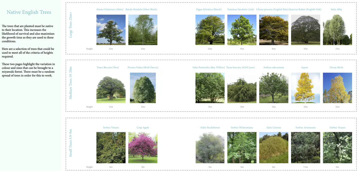 Water Collection
With this information I can begin to map out 1038m2 of miyawaki forests.
It is crucial that the forests do not use more water than stored as then the project isn’t zero carbon as it would require fresh water. It is important that the water collected is sufficient for this project to work. This data also provides the information to how much storage is required on the site. - Ryan Cooksey Miyawaki 2.png